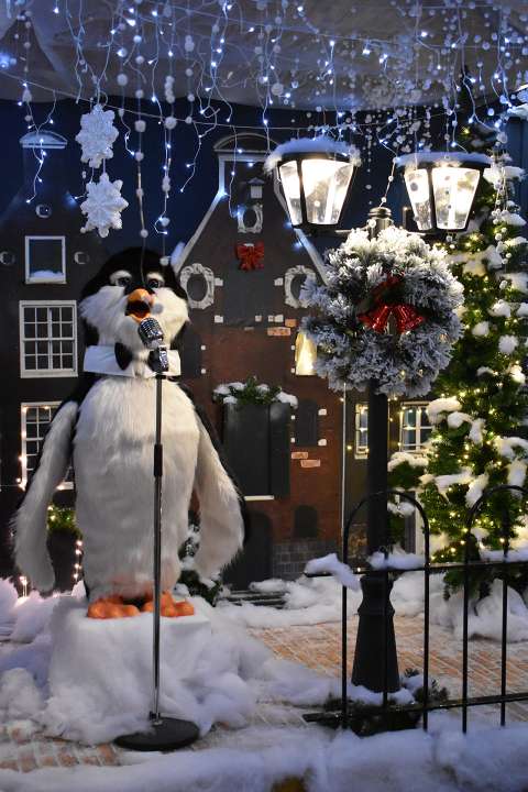 Kerstshow | Tuincentrum De Driesprong Zoetermeer Zuid Holland ...