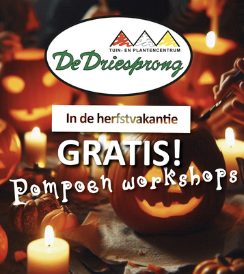 GRATIS pompoen workshops voor de kinderen!