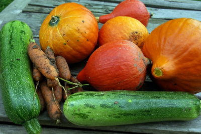 Courgettes en pompoenen