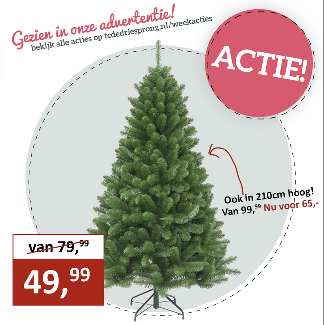 Arctic Spruce