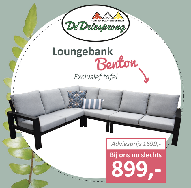 Loungebank Benton